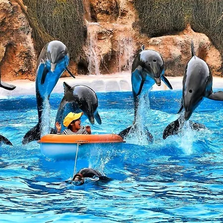 Bright And Quiet With Ocean View アデヘ