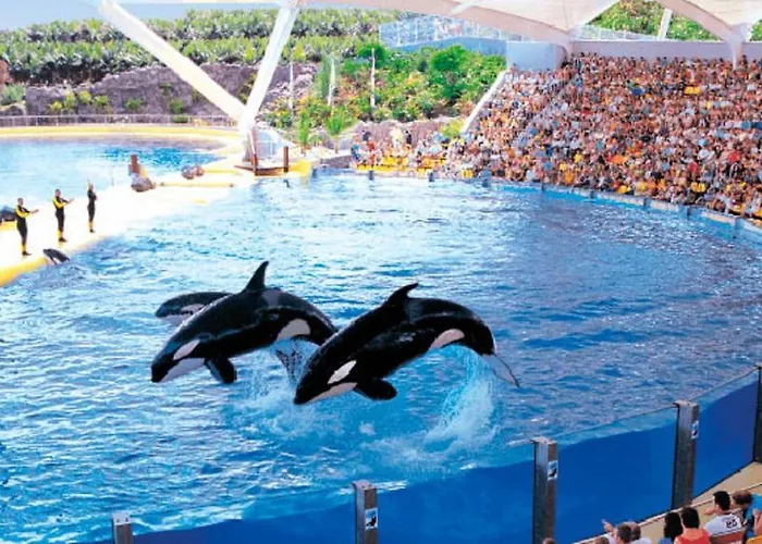 Appartamento Bright And Quiet With Ocean View