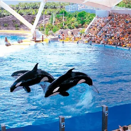 Lägenhet Bright And Quiet With Ocean View